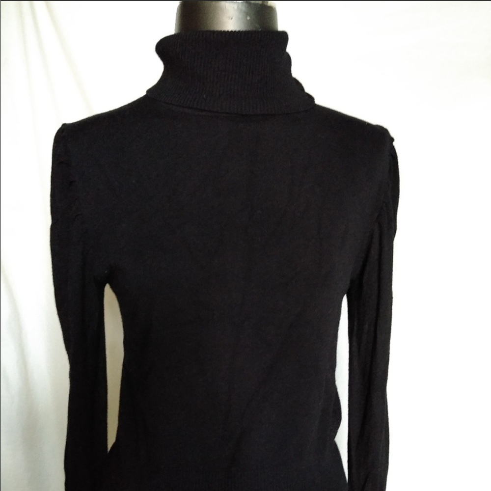 Bcbgmaxazria turtle neck blouse , large size